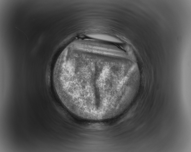 X0000087550446200705251743