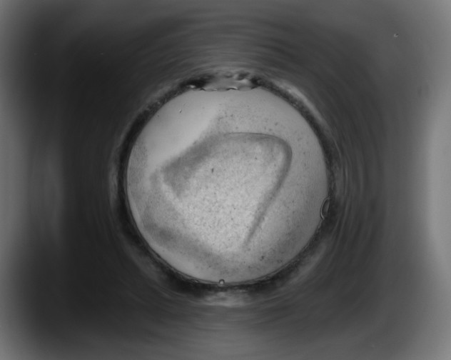 X0000087550447200705251743