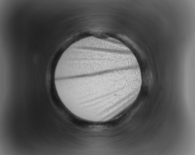 X0000087550448200705251743