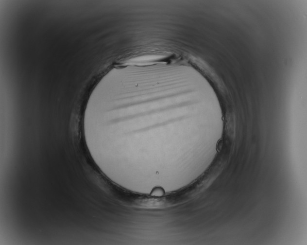 X0000087550449200705251743