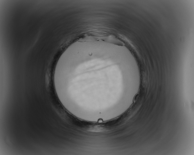 X0000087550451200705251743