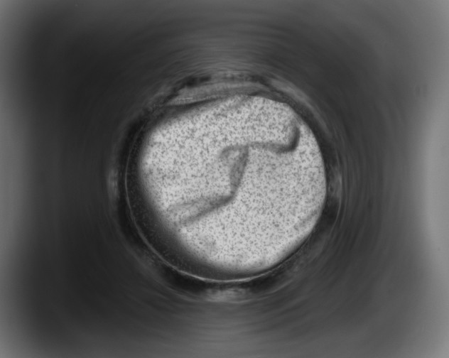 X0000087550452200705251743