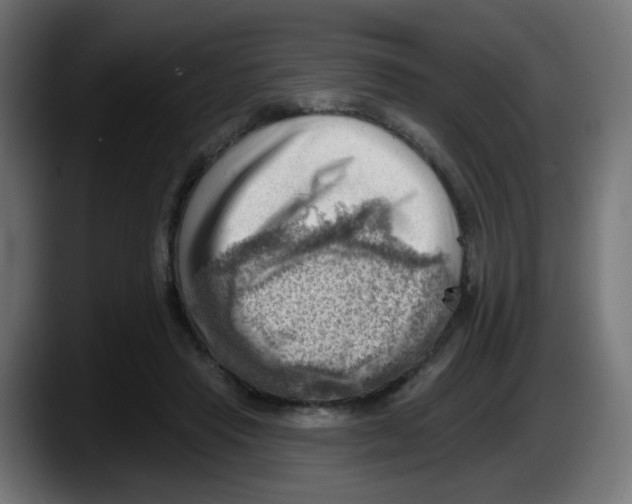 X0000087550453200705251743