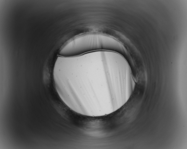 X0000087550456200705251743