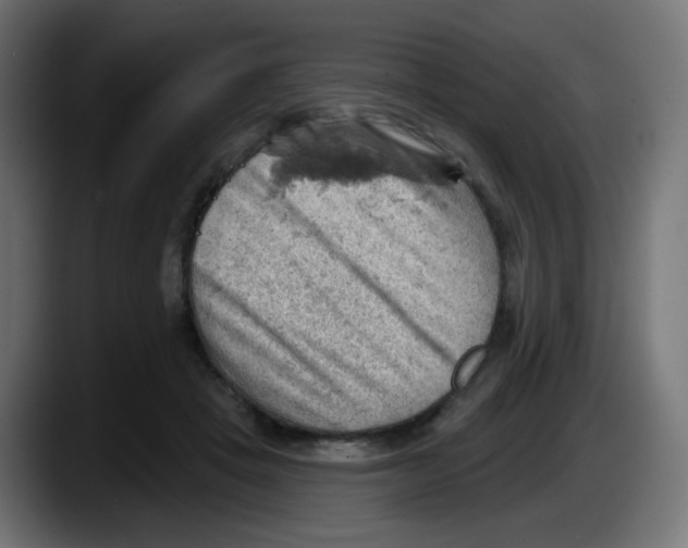 X0000087550457200705251743