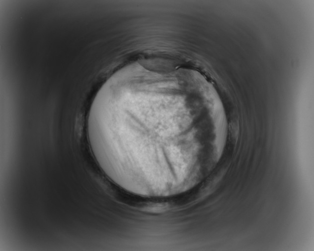 X0000087550458200705251743