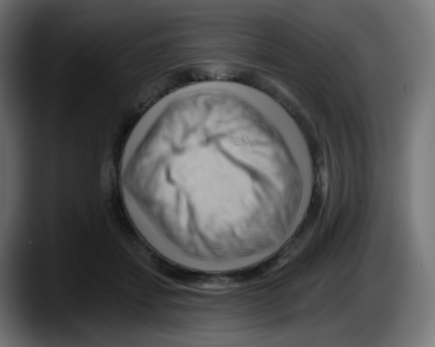 X0000087550459200705251743