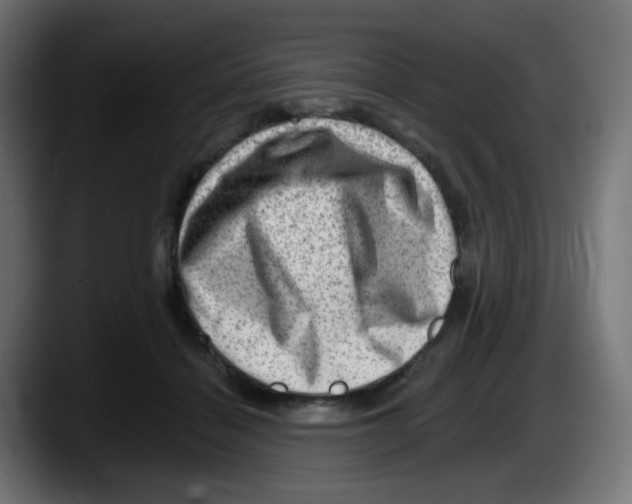 X0000087550460200705251743