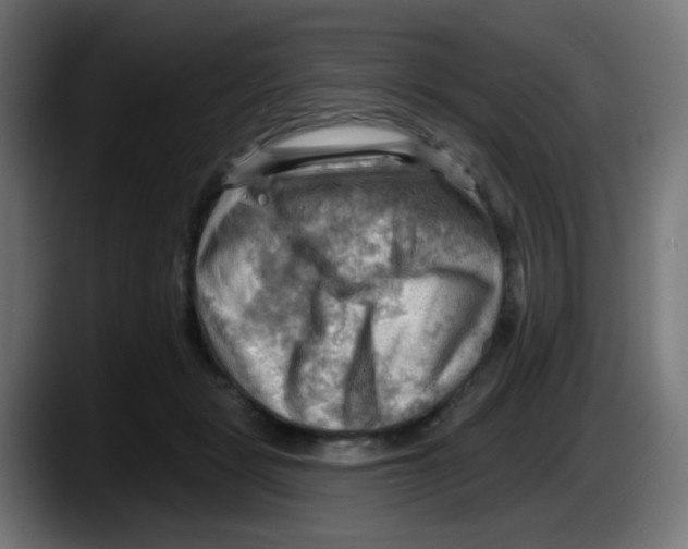 X0000087550461200705251743