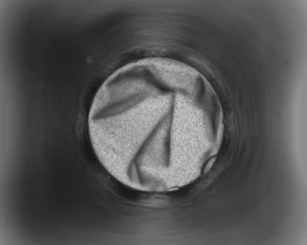 X0000087550463200705251743