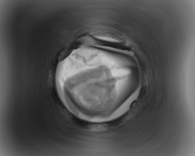 X0000087550465200705251743