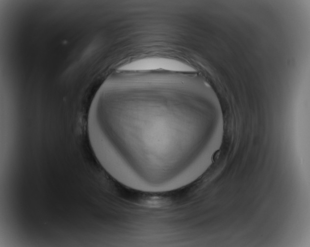 X0000087550467200705251744