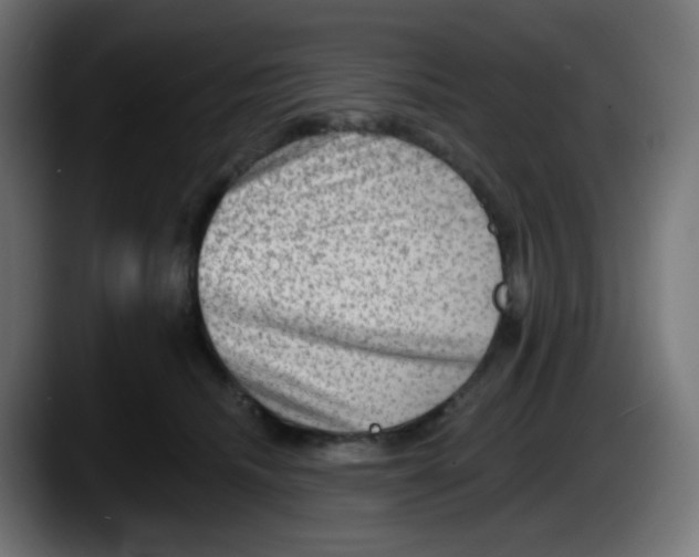 X0000087550468200705251744