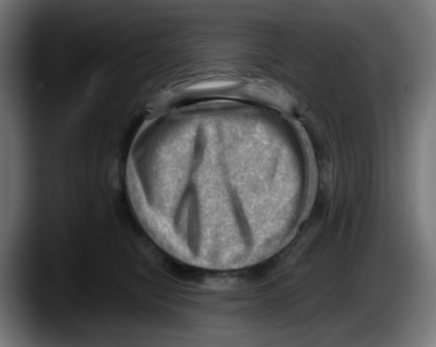 X0000087550470200705251744