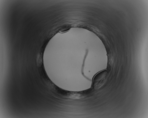 X0000087550471200705251744
