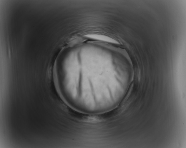 X0000087550475200705251744