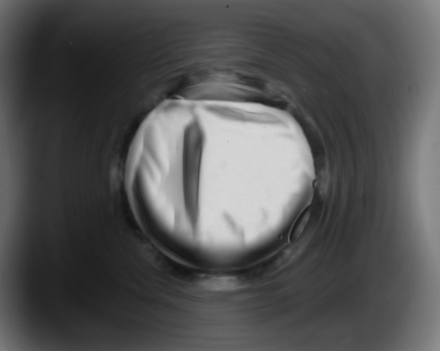 X0000087550476200705251744