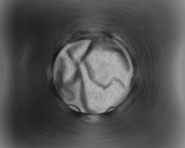X0000087550478200705251744