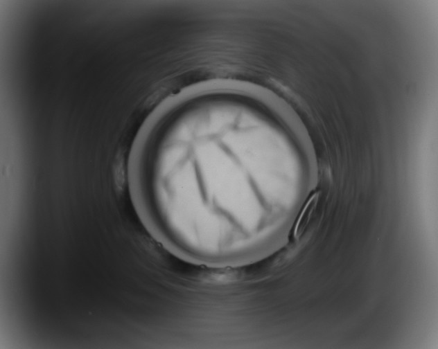 X0000087550479200705251744