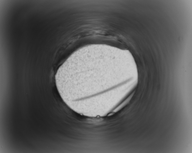 X0000087550480200705251744