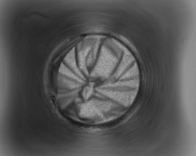 X0000087550481200705251743