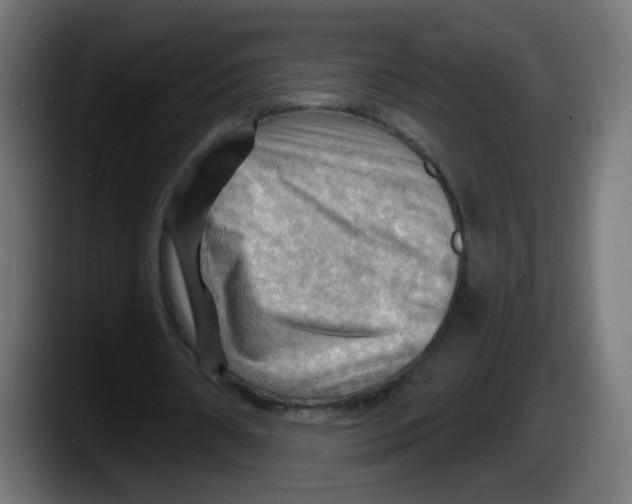 X0000087550482200705251743