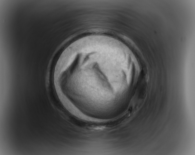 X0000087550484200705251743