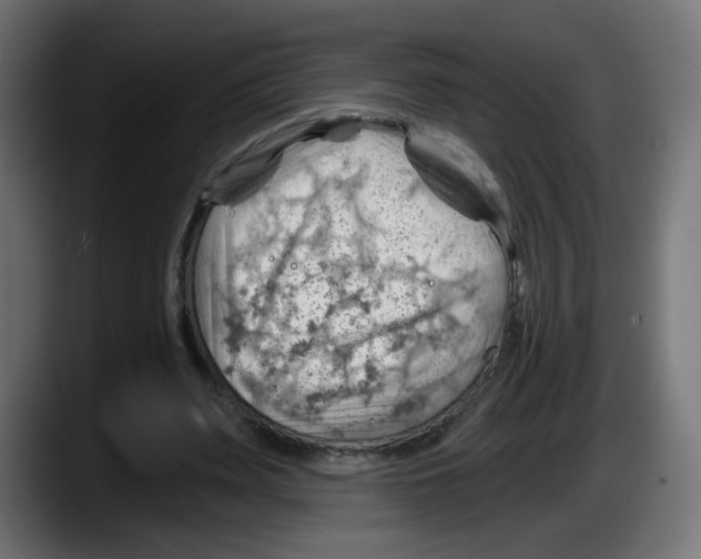 X0000087550487200705251743