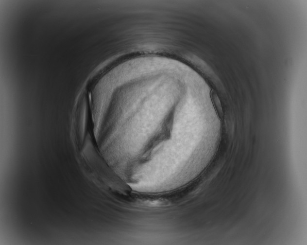 X0000087550488200705251743