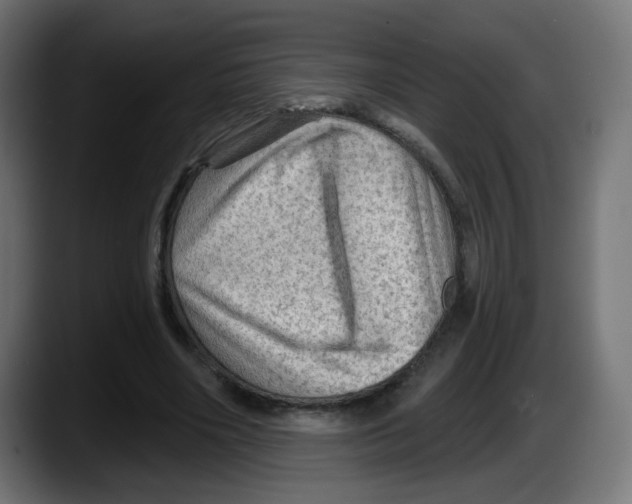 X0000087550490200705251743