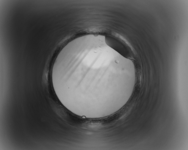 X0000087550491200705251743