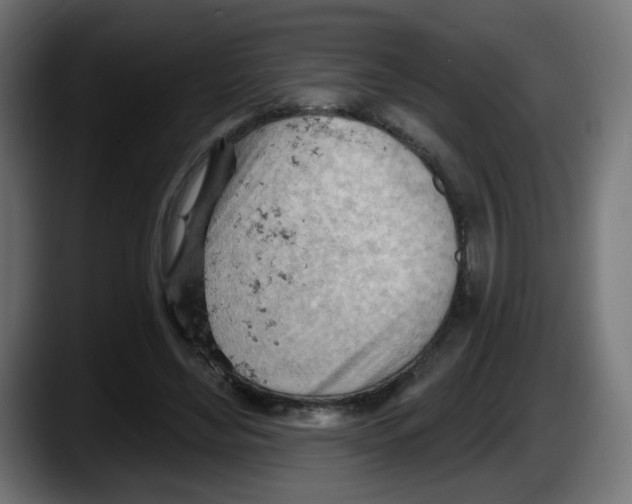 X0000087550492200705251743