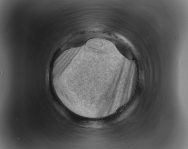 X0000087550493200705251743