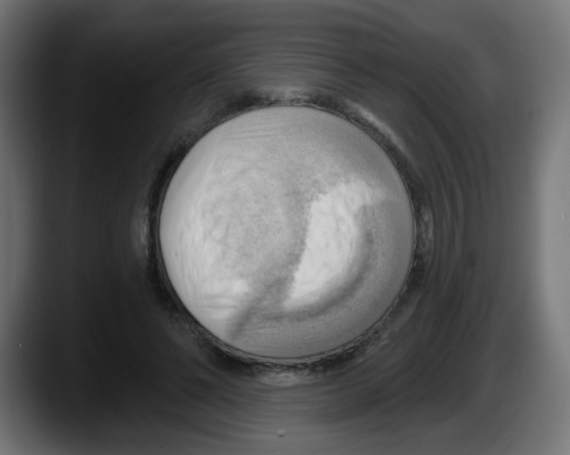 X0000087550494200705251743