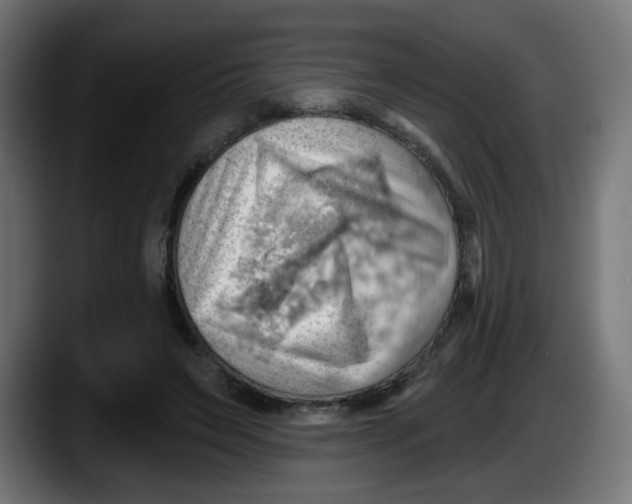 X0000087550495200705251743