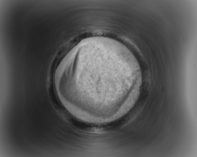 X0000087550496200705251743