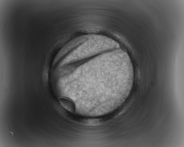 X0000087550501200705251743
