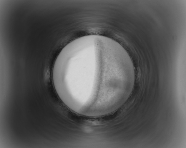 X0000087550502200705251743
