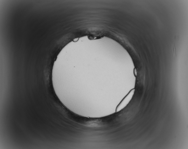 X0000087550505200705251743