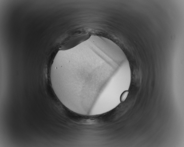 X0000087550506200705251743