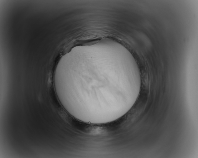 X0000087550507200705251743