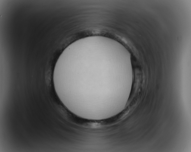 X0000087550509200705251743