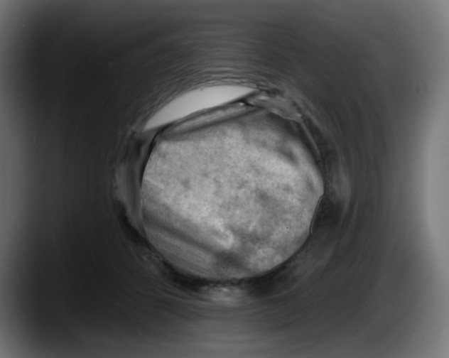 X0000087550512200705251743