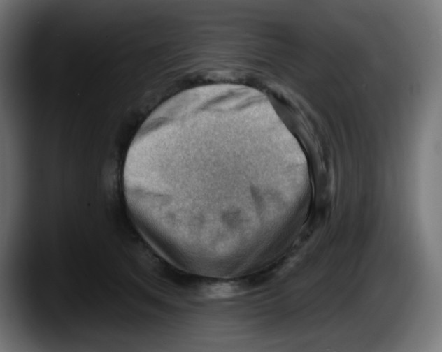 X0000087550513200705251743