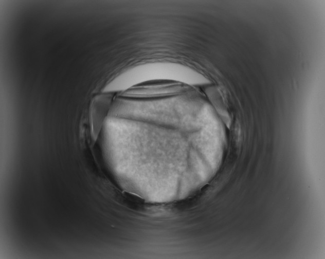 X0000087550516200705251743