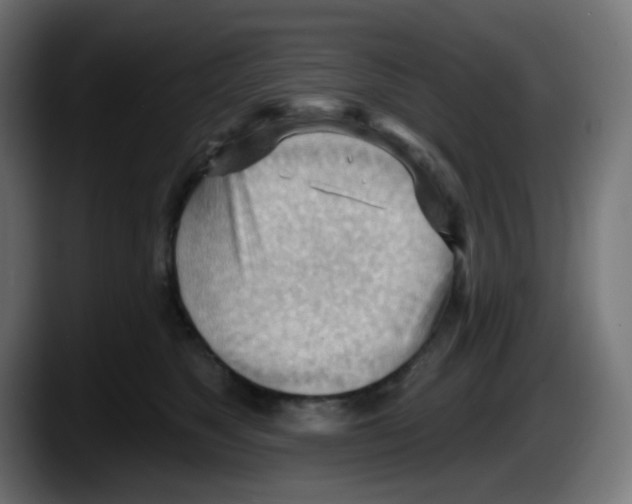 X0000087550517200705251743