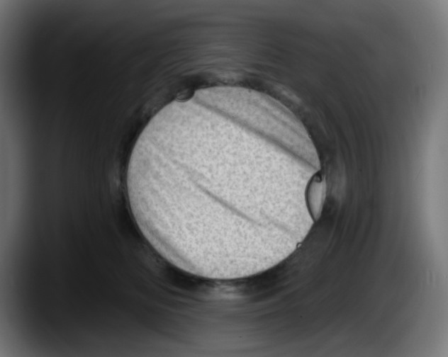 X0000087550518200705251743