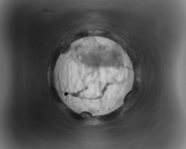 X0000087550519200705251743
