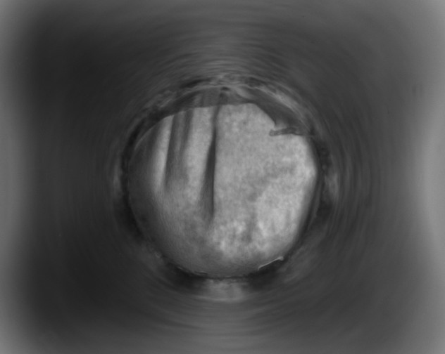 X0000087550520200705251743