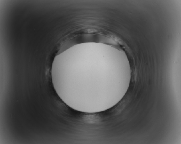 X0000087550521200705251743
